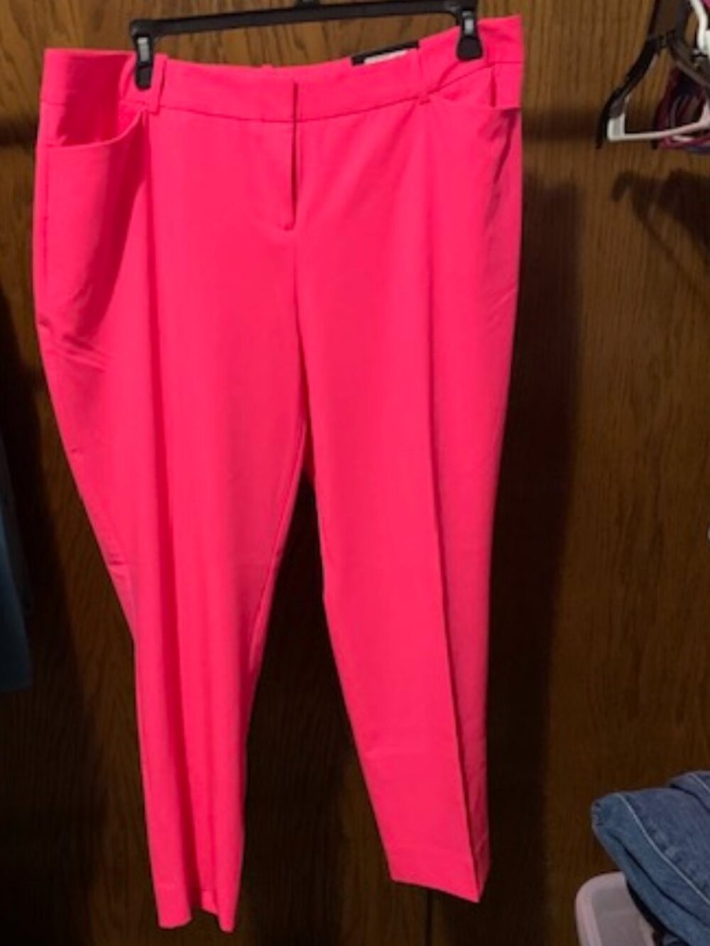 NWT Worthington pants